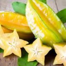 100 PCS Seeds Averrhoa Carambola 100 PCS Seeds Averrhoa Carambola