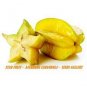 100 PCS Seeds Averrhoa Carambola