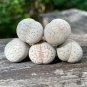100 PCS Seeds Ball Conophytum vanzylii Lithop