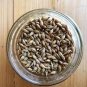 50 PCS Seeds Barley