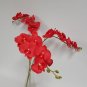 100 PCS Seeds Beautiful Red Phalaenopsis Bonsai Butterfly Orchid