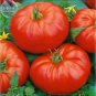 100 PCS Seeds Beefmaster Hybrid F1 Tomato