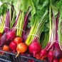 50 PCS Seeds Beetroot Mixed Blood Yellow White Color Vegetable