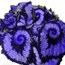 100 PCS Seeds Begonia Flower Bonsai