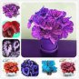 200 PCS Seeds Begonia Flower Seed Flowers