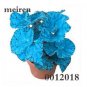 200 PCS Seeds Begonia Flower Seed Flowers