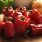20 PCS Seeds Bell Pepper 'Cajun Belle' Vegetable