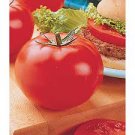 100 PCS Seeds Big Beef Tomat