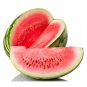 6 PCS Seeds Big Green Skin Red Round Watermlon Organic
