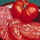 20 PCS Seeds Big Red Tomato, Organic Edible Tasty Tomato