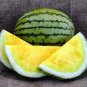 80 PCS Seeds Big Super Black Skin Yellow Oval Sweet Organic Watermelon