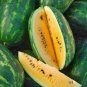 80 PCS Seeds Big Super Black Skin Yellow Oval Sweet Organic Watermelon