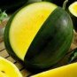 80 PCS Seeds Big Super Black Skin Yellow Oval Sweet Organic Watermelon