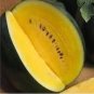 80 PCS Seeds Big Super Black Skin Yellow Oval Sweet Organic Watermelon