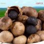 100 PCS Seeds Black Garlic Organic Heirloom Vegetables Home Gardening Planting