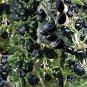 1000 PCS Seeds Black Goji Medlar hybrid