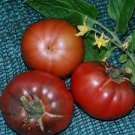 10 PCS Seeds Black Krim Giant Tomato Organic