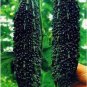 10 PCS Seeds Black Pearl Bitter Vegetables