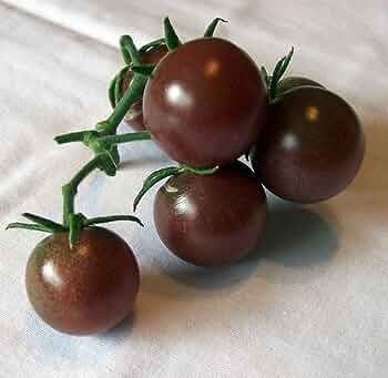 20 PCS Seeds Black Pearl' Bright Black Round Cherry Tomato