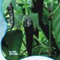 20 PCS Seeds Black Rice Chilli Hot Pepper Vegetable