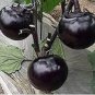 50 PCS Seeds Black Round Eggplant Organic Big Vegetable