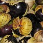 100 PCS Seeds Black Royal Little Cherry Tomato Organic