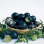 100 PCS Seeds Black Royal Little Cherry Tomato Organic