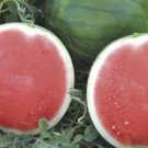 6 PCS Seeds Black Skin Red Inside Round Seedless Watermelon 6 PCS Seeds Black Skin Red Inside Round Seedless Watermelon