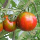 100 PCS Seeds Black Striped Tomato Organic