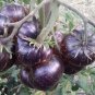 100 PCS Seeds Black Striped Tomato Organic