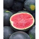 50 PCS Seeds BlackRed Tomato Coffee Bean Chinese Yam Watermelon Flowers 50 PCS Seeds BlackRed Tomato Coffee Bean Chinese Yam Watermelon Flowers
