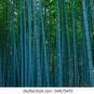 100 PCS Seeds Blue Bamboo