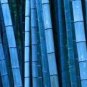 100 PCS Seeds Blue Bamboo