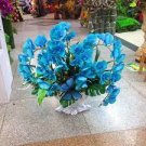 100 PCS Seeds Blue Butterfly Orchid 100 PCS Seeds Blue Butterfly Orchid