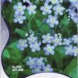 60 PCS Seeds Blue Myosotis Sylvatica Forget-me Flower