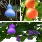 6 PCS Seeds Blue Orange Purple Bottle Gourd