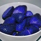 500 PCS Seeds Blue Strawberry