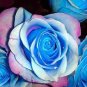 380 PCS Seeds BLUE STRIPE ROSE RARE ROSE ROSE BUSH BLUE WHITE DRAGON