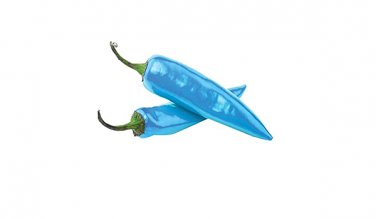 20 PCS Seeds Blue Turquoise Chili Pepper
