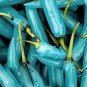 20 PCS Seeds Blue Turquoise Chili Pepper
