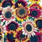 15 PCS Seeds Bohemian Phapsody F1 Sunflower