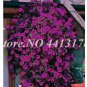 200 PCS Seeds Bonsai Hanging Petunia Garden Petunia Mixed Color