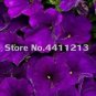 200 PCS Seeds Bonsai Petunia Garden Bonsai Moon Night Sky Double Purple Flowers