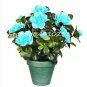 100 PCS Seeds Bonsai Rhododendron Azalea Flower