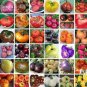 100 PCS Seeds Bonsai Tomato Giant 36 Types of Vegetable Fruits