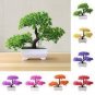 50 PCS Seeds Bonsai Tree Cedar Flores Siberian Carpet Cypress plantas Arborvitae Plante