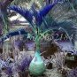 20 PCS Seeds Bottle Palm Blue Color