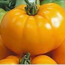 100 PCS Seeds Brandywine Yellow Big Zac Tomato