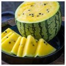 40 PCS Seeds Bright Yellow Watermelon