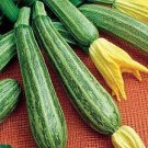 10 PCS Seeds British Summer Courgette Hybrid